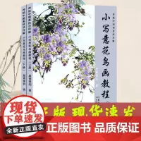 小写意花鸟画教程 2册写意花鸟临摹范本 国画花鸟画册画集 工笔花鸟画素材高清图技法国画花鸟写意临摹书 安徽美术出版社