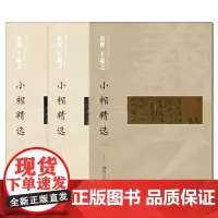全3册 中国古代书家小楷精选 东晋 王羲之 临摹本毛笔 原碑 拓本 书画类教材 楷书经典 江西美术出版社