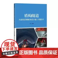 盾构隧道内部双层预制结构设计施工关键技术 姜海西,编著 著 建筑/水利(新)生活 正版图书籍 上海科学技术出版社