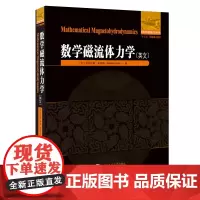 [正版书籍]数学磁流体力学