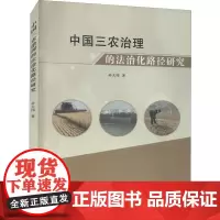 中国三农治理的法治化路径研究 孙大伟 著 法学理论社科 正版图书籍 河南人民出版社