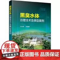 [正版书籍]黑臭水体治理技术及典型案例