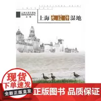 [正版书籍]上海九段沙湿地