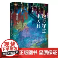 跑步穿过中关村 70后首位茅盾文学奖得主徐则臣经典中篇小说集 在北京这样庞大的都市,我们都需要相互温暖 新经典