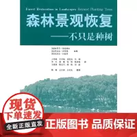 [正版书籍]森林景观恢复—不只是种树
