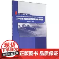 [正版书籍]水利工程设计与研究丛书 大中型水闸除险加固研究与处理措施
