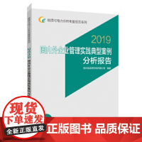 能源与电力分析年度报告系列 2019 国内外企业管理实践典型案例分析报告