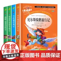鲁滨逊漂流记 汤姆索亚历险记 尼尔斯骑鹅旅行记 爱丽丝漫游仙境 小学语文教材六年级下册快乐读书吧书目(套装4册)