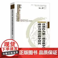 汉语作为第二语言教学的语法与语法教学研究(对外汉语教学研究专题书系)