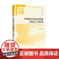 中国农村劳动力转移与农民工市民化——社会建设卷