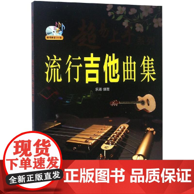 流行吉他曲集(随书CD) 乐海 著 音乐(新)艺术 正版图书籍 北京日报出版社