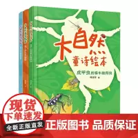 虎甲虫的赛车跑得快+狮子的头发乱糟糟+想上学的猪笼草共3册 优美有趣的自然童诗 好玩易懂的科普知识细腻自然的手绘插图3-