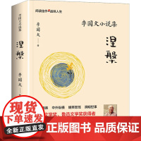 李国文小说集 涅槃 李国文 著 短篇小说集/故事集文学 正版图书籍 陕西人民出版社