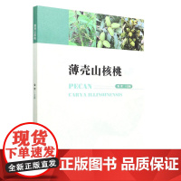 薄壳山核桃 袁军 1673 中国林业出版社