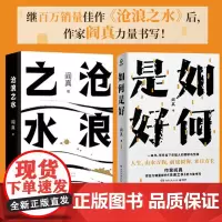 +赠书签 沧浪之水+如何是好共2册 阎真全新力作 阎真新书作品集 现当代文学小说书籍正版 中国文学励志成功学书籍