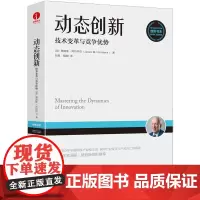[颉腾店]动态创新:技术变革与竞争优势 陈劲、吴晓波领先 范式转变 企业管理 战略管理书籍