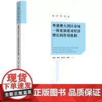 粤港澳大湾区市场一体化演进对经济增长的作用机制