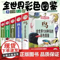 正版全5册动物全世界100种动物的彩色图鉴全世界300种树全世界80种昆虫世界100种常见鸟树昆虫和鱼儿童科普百科读物书