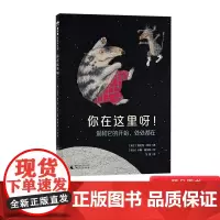你在这里呀精装绘本图画书关于爱的书爱就像一个果核坚不可摧它抵得住改变经得起历练3岁4岁5岁6岁亲子阅读魔法象正版童书