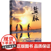 盐脉 孟庆良 著 其它小说文学 正版图书籍 山东文艺出版社