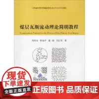 煤层瓦斯流动理论简明教程 刘清泉 等 著 矿业技术大中专 正版图书籍 中国矿业大学出版社