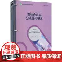 药物合成与分离纯化技术 崔成红,高源 编 高等成人教育大中专 正版图书籍 中国轻工业出版社