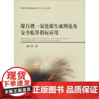煤自燃一氧化碳生成理论及安全临界指标应用 翟小伟 著 矿业技术大中专 正版图书籍 中国矿业大学出版社