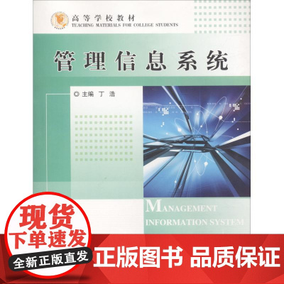 管理信息系统 丁浩 著 丁浩 编 管理其它大中专 正版图书籍 中国石油大学出版社