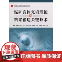 煤矿膏体充填理论与料浆输送关键技术 孟毅 等 著 交通/运输大中专 正版图书籍 中国矿业大学出版社