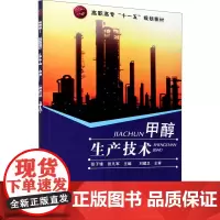 甲醇生产技术 张子锋,张凡军 编 工业技术其它大中专 正版图书籍 化学工业出版社