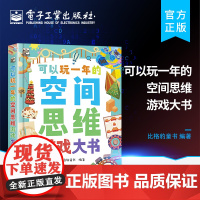 正版 可以玩一年的空间思维游戏大书 提升儿童的空间思维能力 50多种题型 近300个有趣又富有挑战性的空间游戏 比格豹童