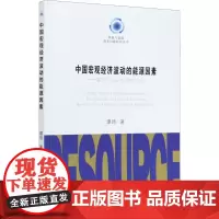 中国宏观经济波动的能源因素——基于DSGE框架的分析 谭琦 著 国内贸易经济经管、励志 正版图书籍 经济管理出版社