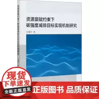 资源禀赋约束下碳强度减排目标实现机制研究 孙耀华 著 经济理论经管、励志 正版图书籍 中国社会科学出版社