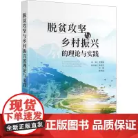 脱贫攻坚与乡村振兴的理论与实践 王智猛 编 中国社会经管、励志 正版图书籍 四川大学出版社