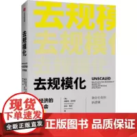去规模化 小经济的大机会 (美)赫曼特·塔内佳(Hemant Taneja),(美)凯文·梅尼(Kevin Maney)