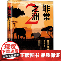 非常之洲 2 非洲风情实录 王兆桂 著 文学作品集社科 正版图书籍 当代世界出版社