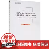 区际产业梯度转移与升级中的技术势能集聚、转换与作用机制 陶长琪,彭永樟 著 社会科学其它经管、励志 正版图书籍