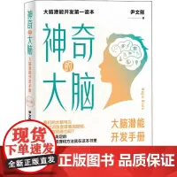 神奇的大脑 大脑潜能开发手册 修订版 尹文刚 著 自我实现社科 正版图书籍 世界图书出版有限公司北京分公司