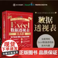 正版Excel数据透视表应用大全 for Excel 365 & Excel 2019 北京大学出版社 97873013