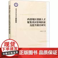 西部地区创新人才聚集效应影响因素及提升路径研究 肖南兵 著 商业史传经管、励志 正版图书籍 经济科学出版社