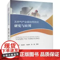 天然气产业链协同优化研究与应用 李宝军 等 著 石油 天然气工业经管、励志 正版图书籍 石油工业出版社