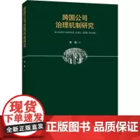 跨国公司治理机制研究