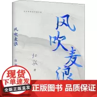 风吹麦浪 红孩 著 现代/当代文学文学 正版图书籍 文化发展出版社