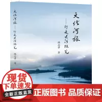 文化河旅——行走大河随笔 韩志孝 著 文学理论/文学评论与研究文学 正版图书籍 黄河水利出版社
