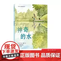 神奇的水精装硬壳绘本诗意的语言搭配春夏秋冬四季的美景生动形象地讲解关于水循环的科普知识适合4岁5岁6岁7岁阅读麦克米伦正