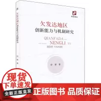 欠发达地区创新能力与机制研究 付智 著 中国经济/中国经济史经管、励志 正版图书籍 经济科学出版社