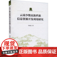 云南少数民族档案信息资源开发利用研究 李娅佳 著 图书馆学 档案学经管、励志 正版图书籍 中国社会科学出版社