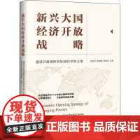 新兴大国经济开放战略 建设开放型世界经济的中国方案 汤凌霄 等 著 中国经济/中国经济史经管、励志 正版图书籍