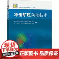 冲击矿压防治技术 窦林名 等 编 矿业技术大中专 正版图书籍 中国矿业大学出版社
