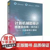 计算机辅助审计原理及应用——大数据审计基础(第4版) 陈伟 著 大学教材大中专 正版图书籍 清华大学出版社